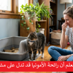 امرأة تجلس على الأرض تسد أنفها من رائحة كريهة بجانب قطة وصندوق رمل غير نظيف في غرفة معيشة منزلية."