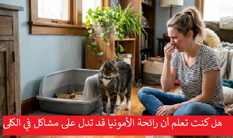 امرأة تجلس على الأرض تسد أنفها من رائحة كريهة بجانب قطة وصندوق رمل غير نظيف في غرفة معيشة منزلية."