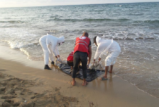 جثة مجهولة شاطئ ألمينا المضيق