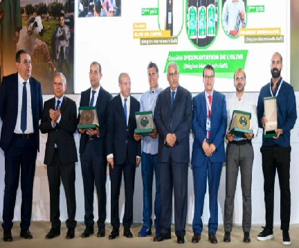 المغرب يكرّم أفضل زيت الزيتون 2026
