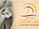 مؤسسة محمد السادس تصرف إعانة عيد الأضحى