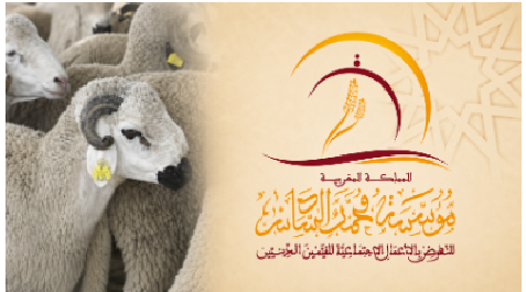 مؤسسة محمد السادس تصرف إعانة عيد الأضحى